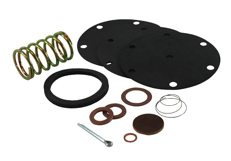 Fuel Pump Kits & Spares